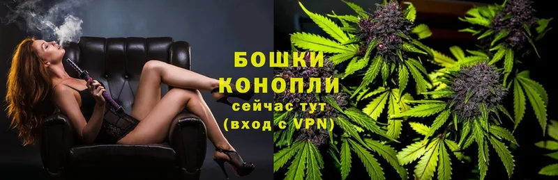 купить наркоту  Электросталь  Шишки марихуана THC 21% 